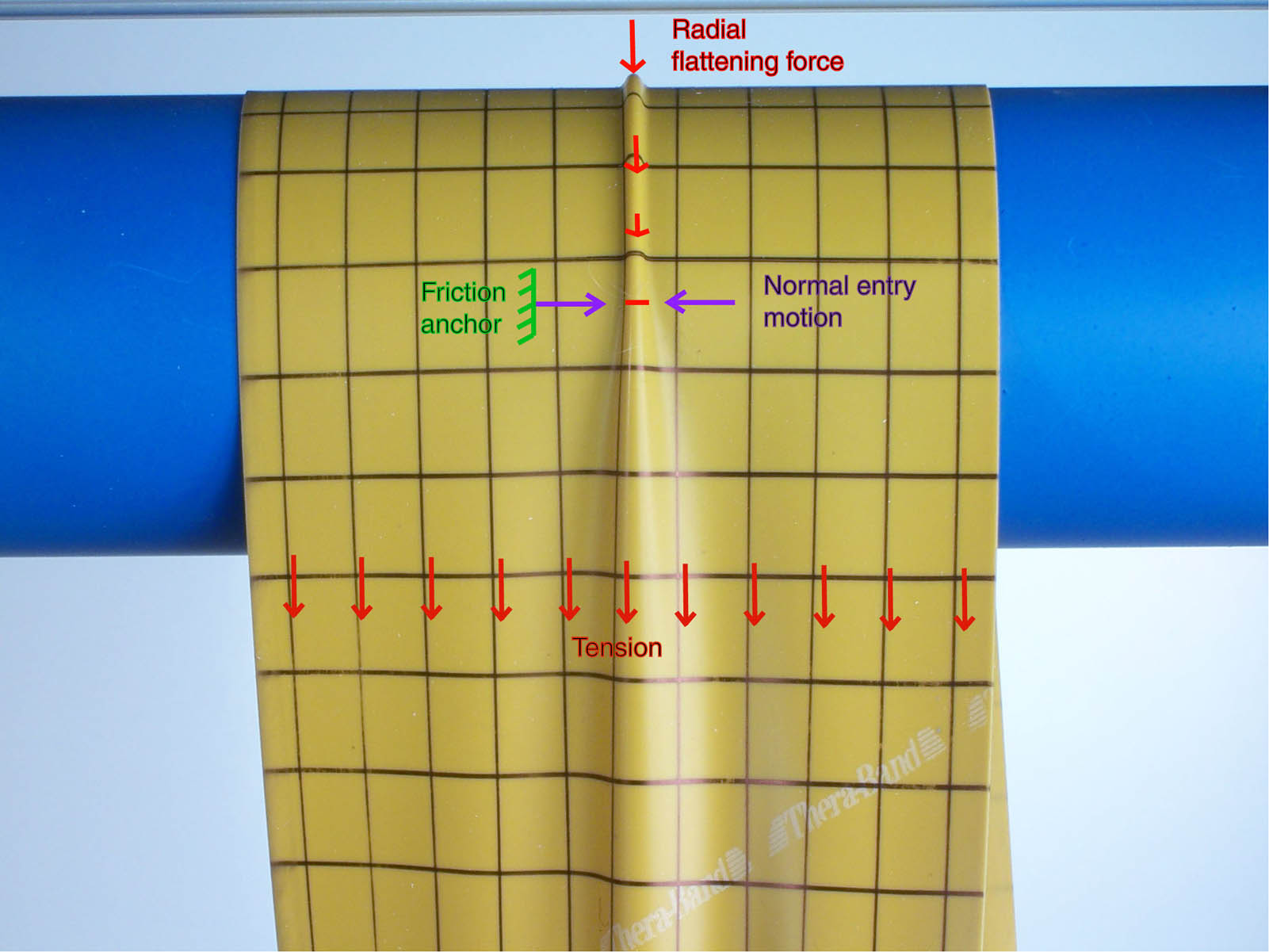 Twisted wrinkle forces